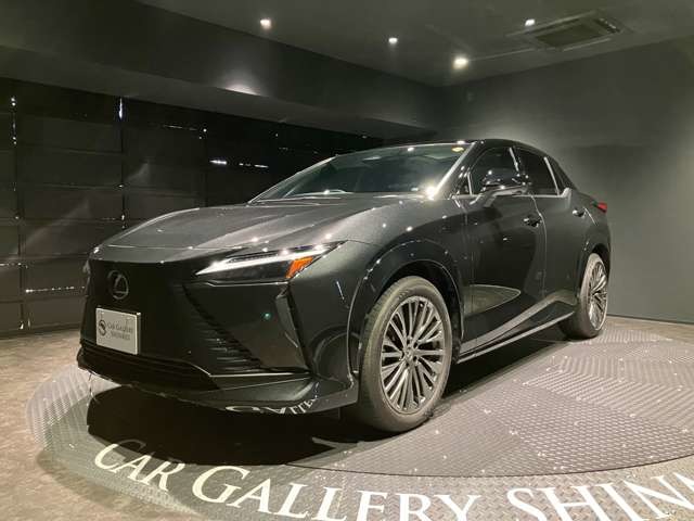 2025 Lexus RZ