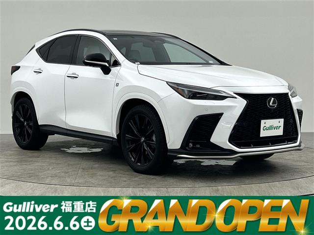 Lexus NX 1