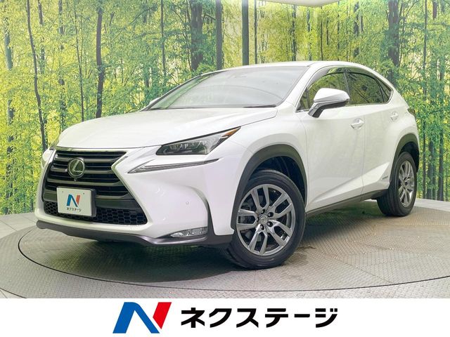 Lexus NX 1