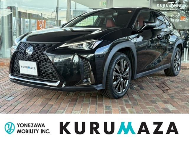 2022 Lexus UX