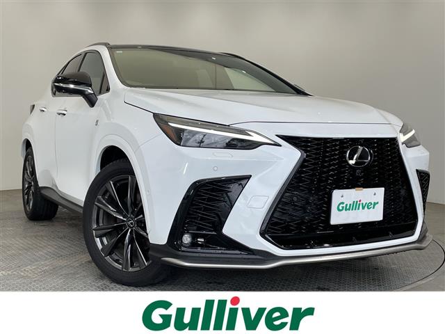 2024 Lexus NX