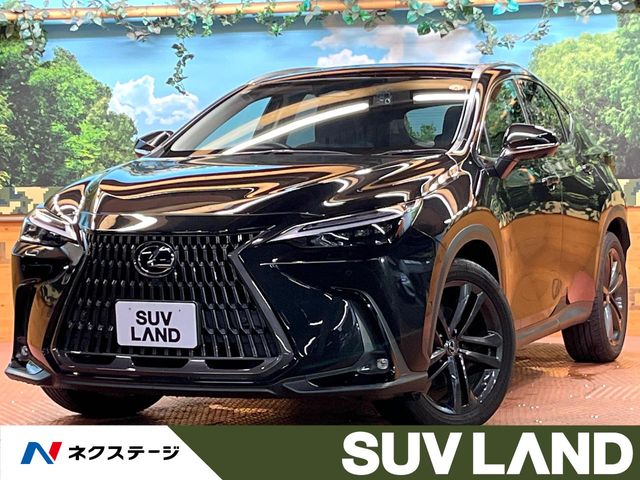 2022 Lexus NX