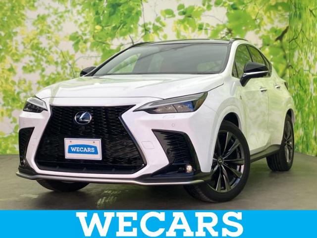 Lexus NX 1