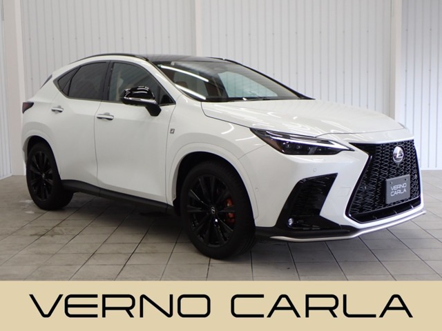 Lexus NX 1
