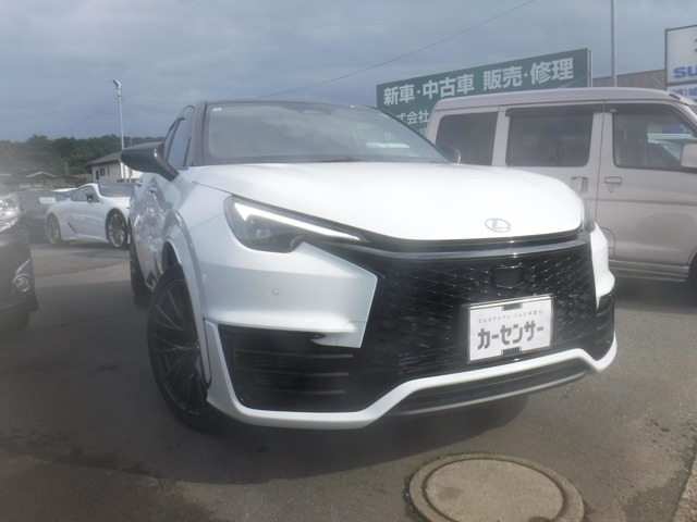 2025 Lexus LBX