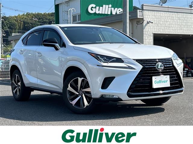 Lexus NX 1