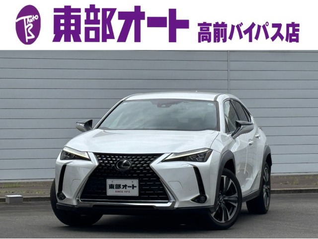 2021 Lexus UX