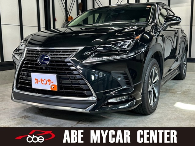 Lexus NX 1