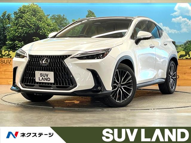 2023 Lexus NX