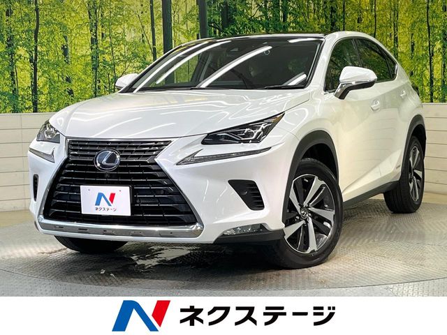 Lexus NX 1