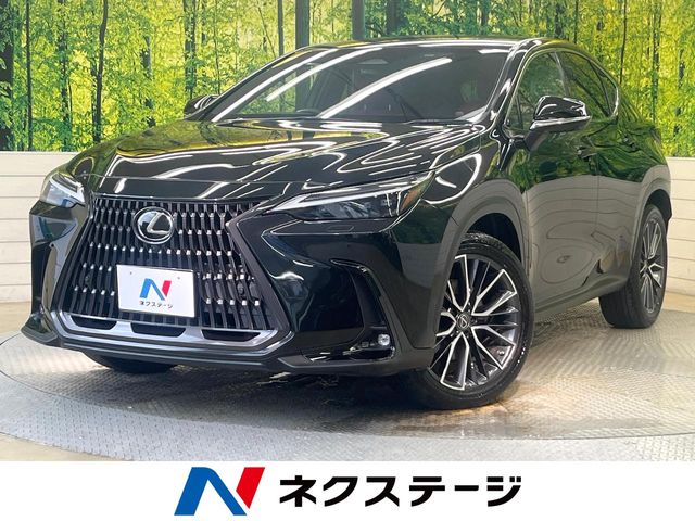 Lexus NX 1