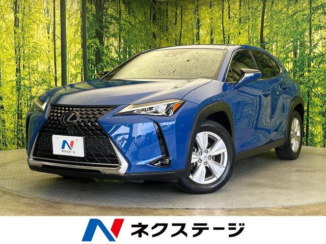 2020 Lexus UX