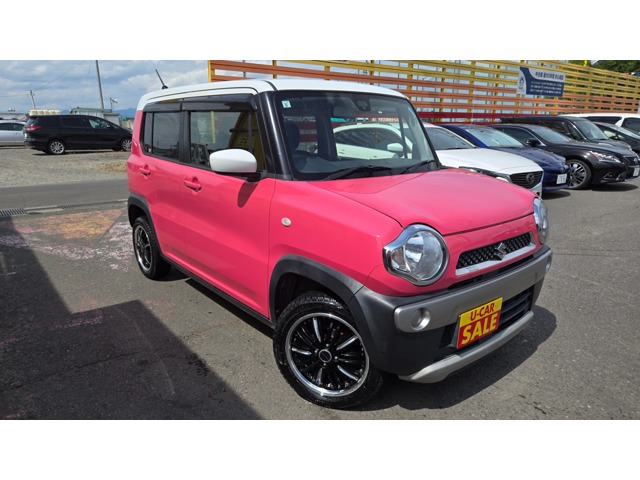 Suzuki Hustler 1