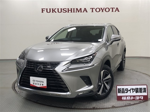 Lexus NX 1