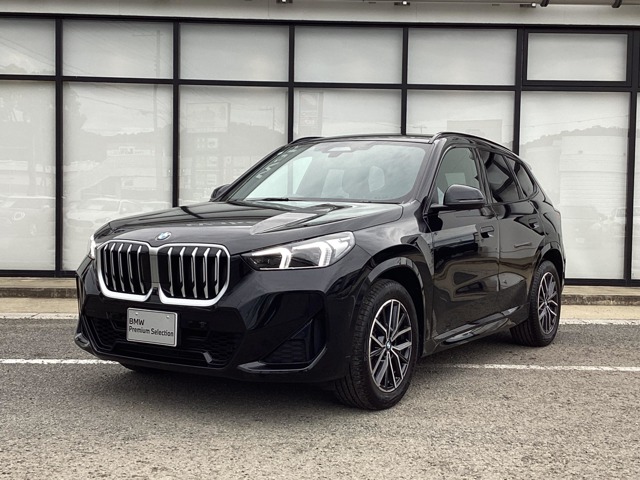 BMW X1 1