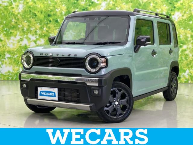 Suzuki Hustler 1