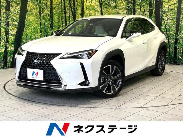 2019 Lexus UX
