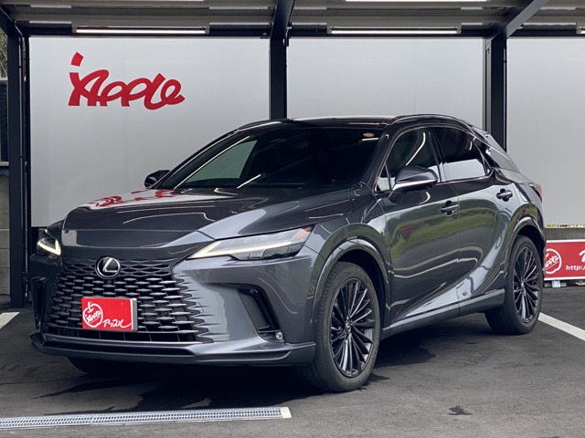 2023 Lexus RX