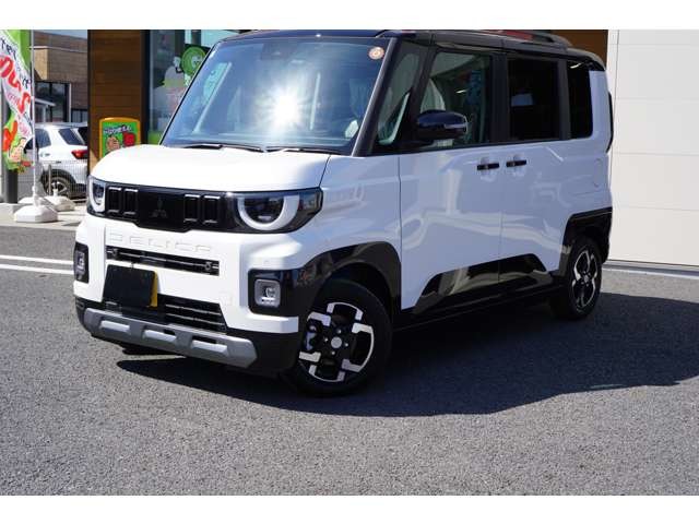 Mitsubishi Delica Mini 1