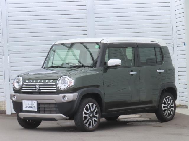 2019 Suzuki Hustler