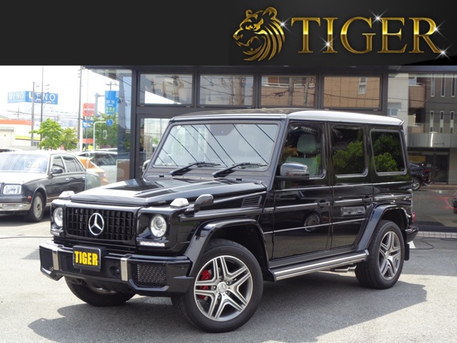 Mercedes-Benz G-Class 1