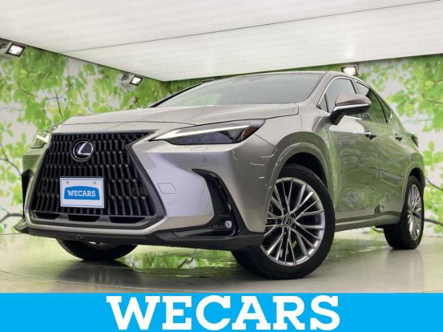 Lexus NX 1