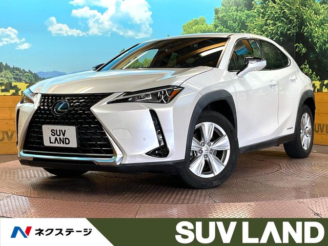 2020 Lexus UX
