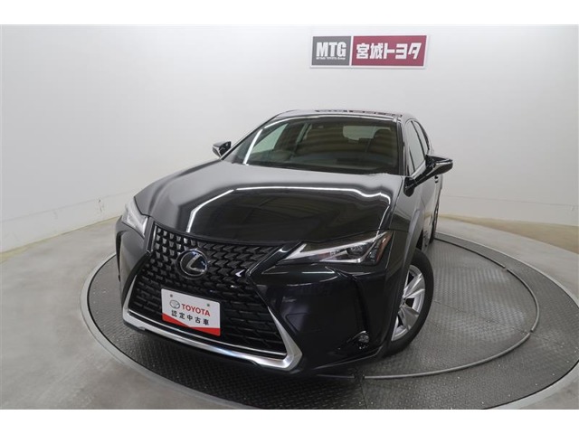 2019 Lexus UX