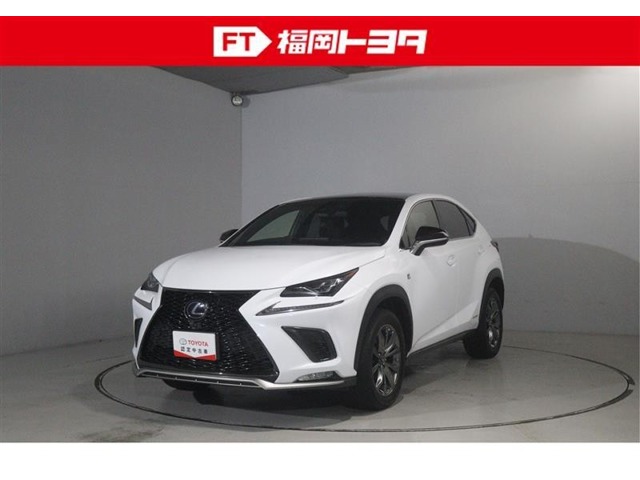 2019 Lexus NX
