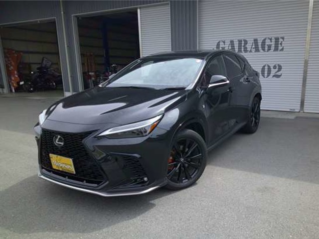 2024 Lexus NX