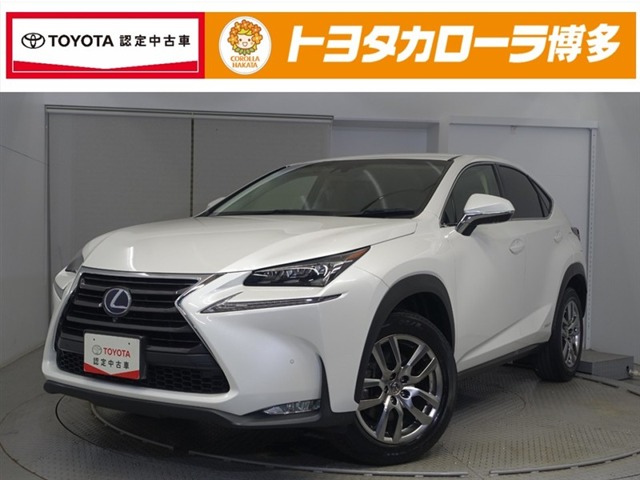 Lexus NX 1