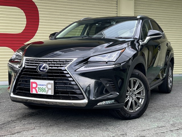 2021 Lexus NX