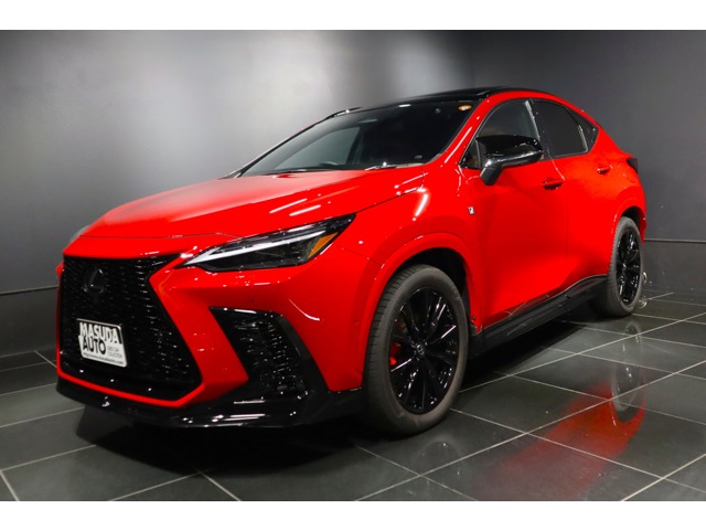 2025 Lexus NX