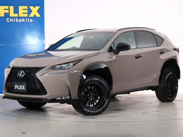 2016 Lexus NX
