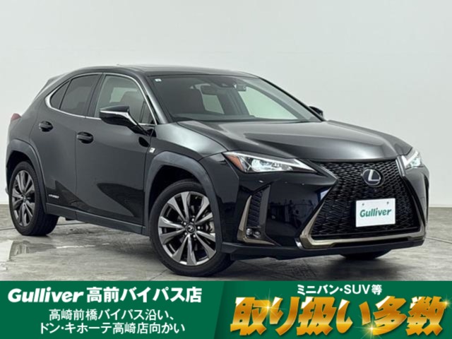 2021 Lexus UX