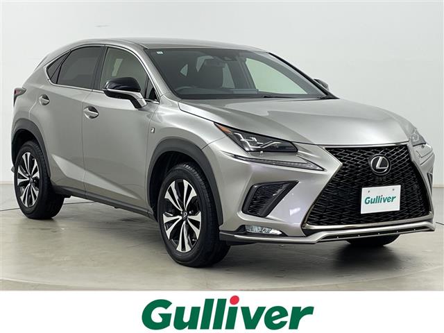 Lexus NX 1