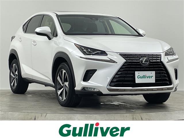 Lexus NX 1