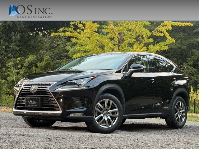 Lexus NX 1