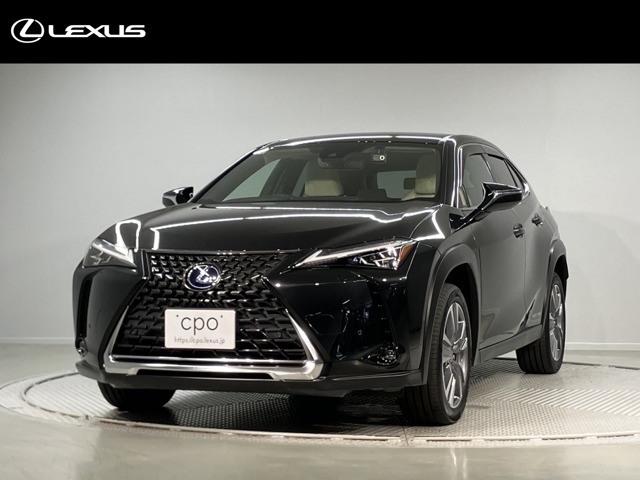 Lexus UX300e 1