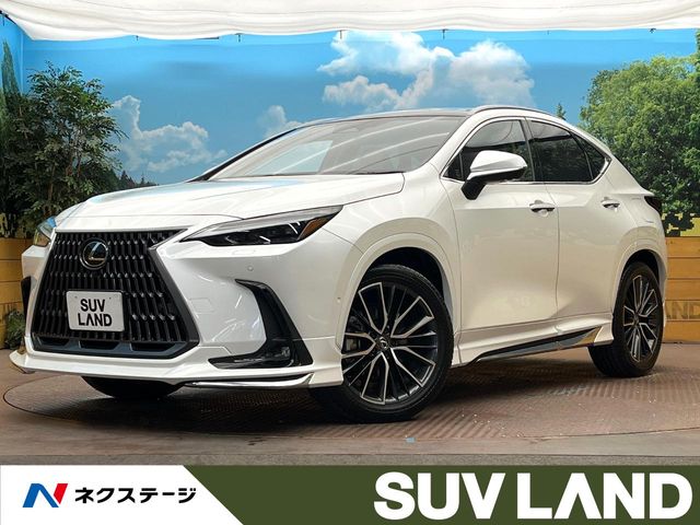 Lexus NX 1