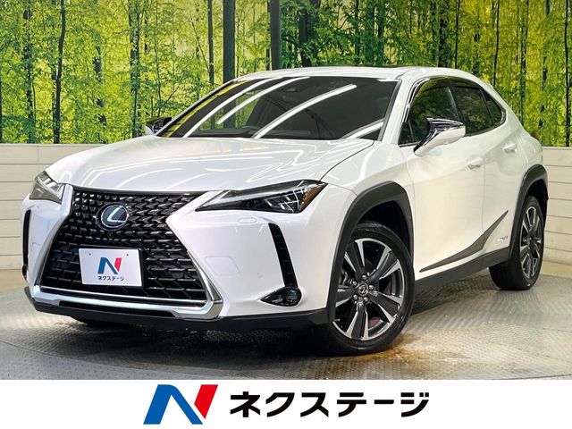 2021 Lexus UX