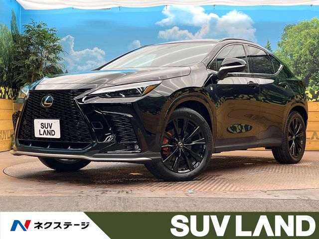 2025 Lexus NX