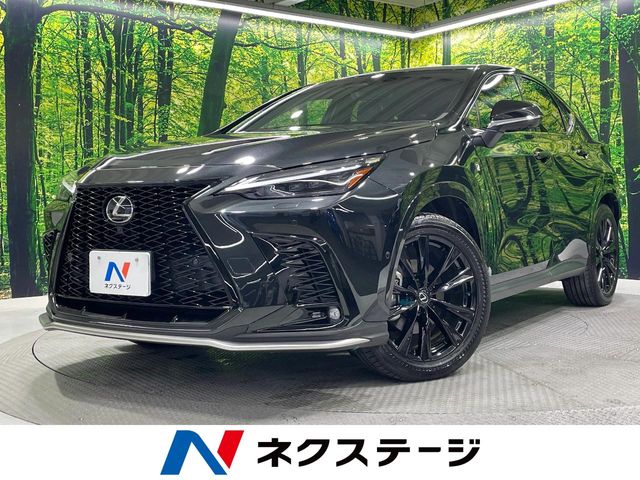 2024 Lexus NX