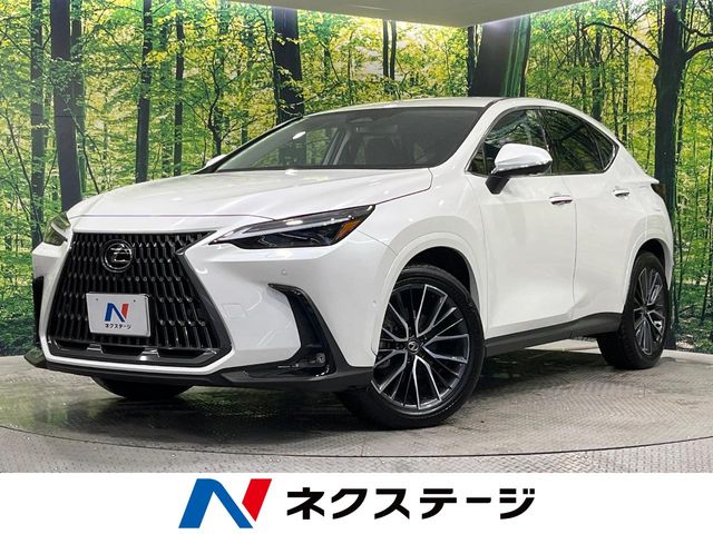 2024 Lexus NX