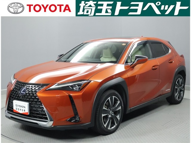 2018 Lexus UX