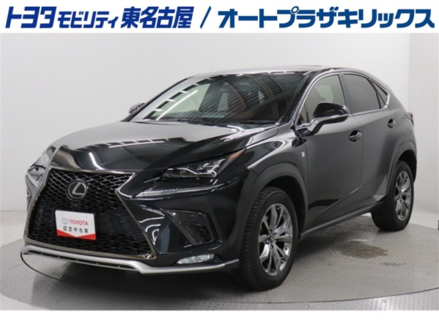 2019 Lexus NX