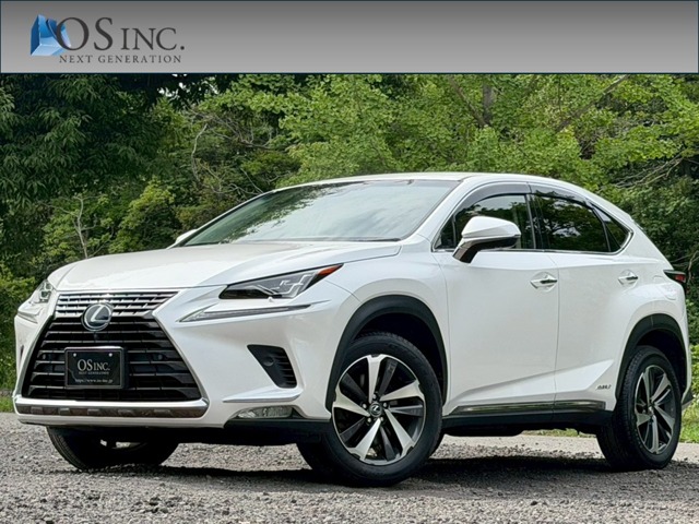 2018 Lexus NX