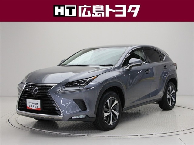 Lexus NX 1