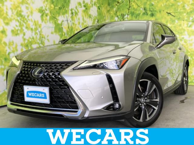 2019 Lexus UX