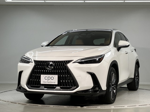 2023 Lexus NX